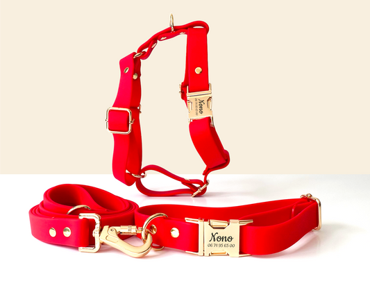 Kit Collier Harnais et Laisse Chien Personnalisé Biothane Rouge