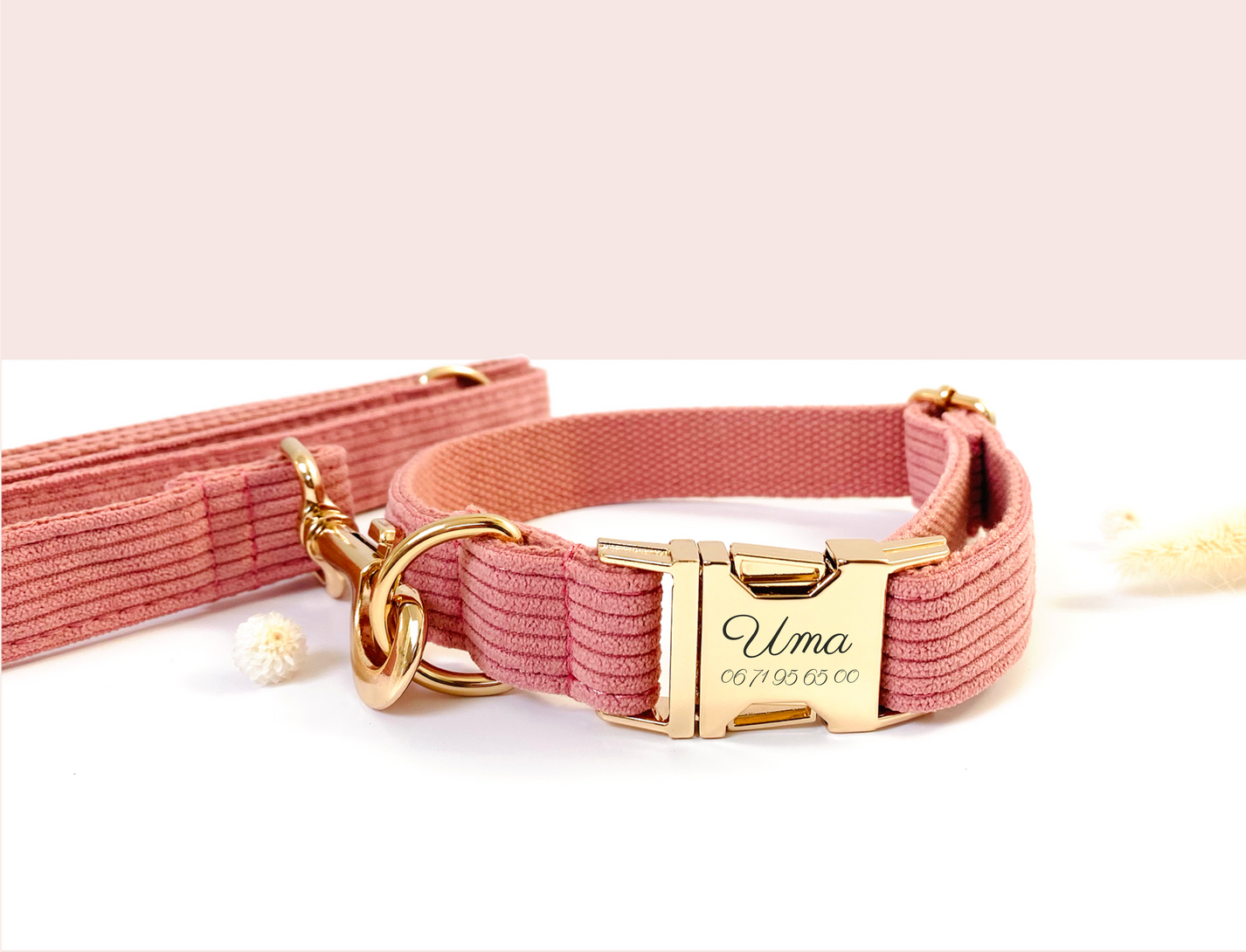 Collier personnalisé pour chien coquillage main image 0