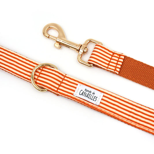 Laisse Chien Coton Orange Rayé