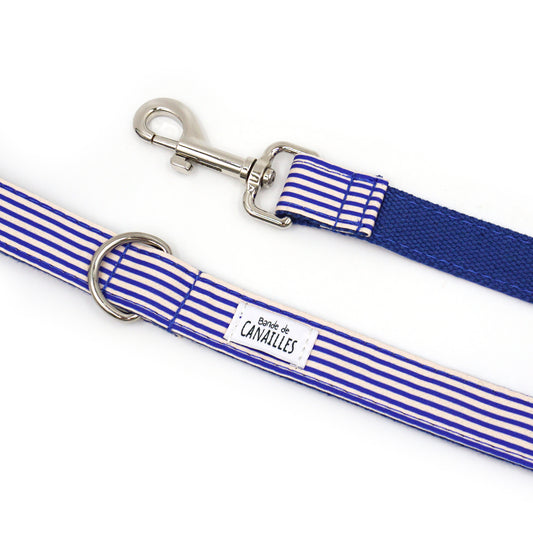 Laisse Chien Coton Bleu Rayé