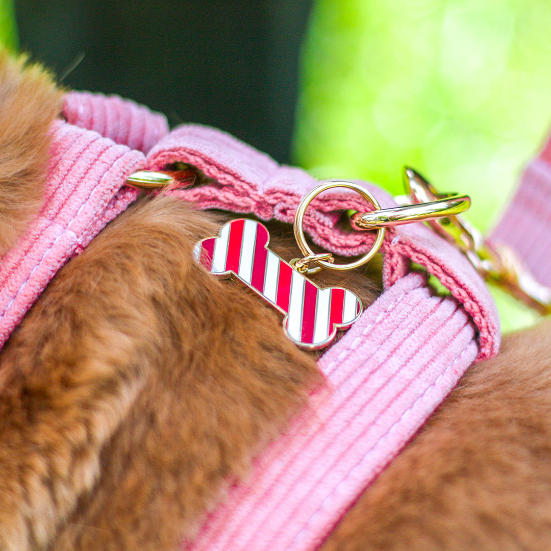 Médaille Os Personnalisable