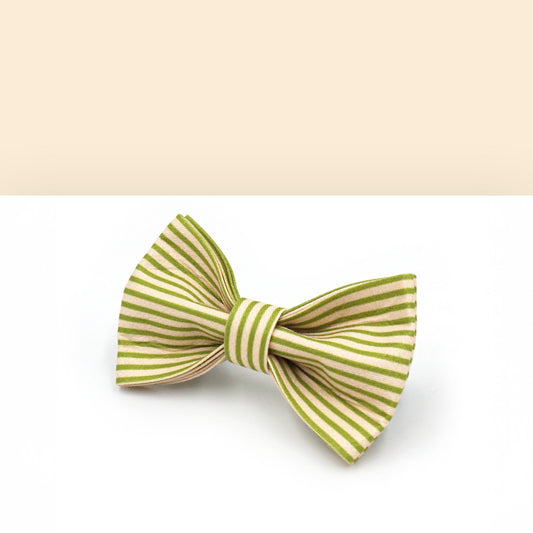 Noeud Papillon Coton Rayé Vert