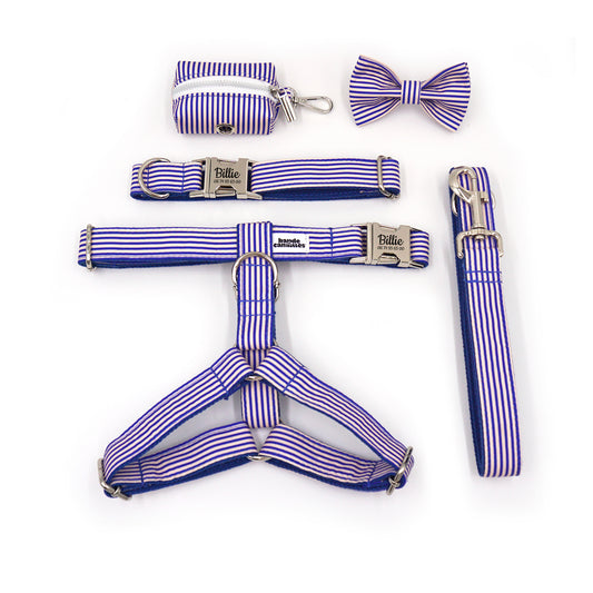 Kit complet harnais et accessoires pour chien bleu rayé coton personnalisé, incluant harnais, collier, laisse, mini sac et nœud papillon.
