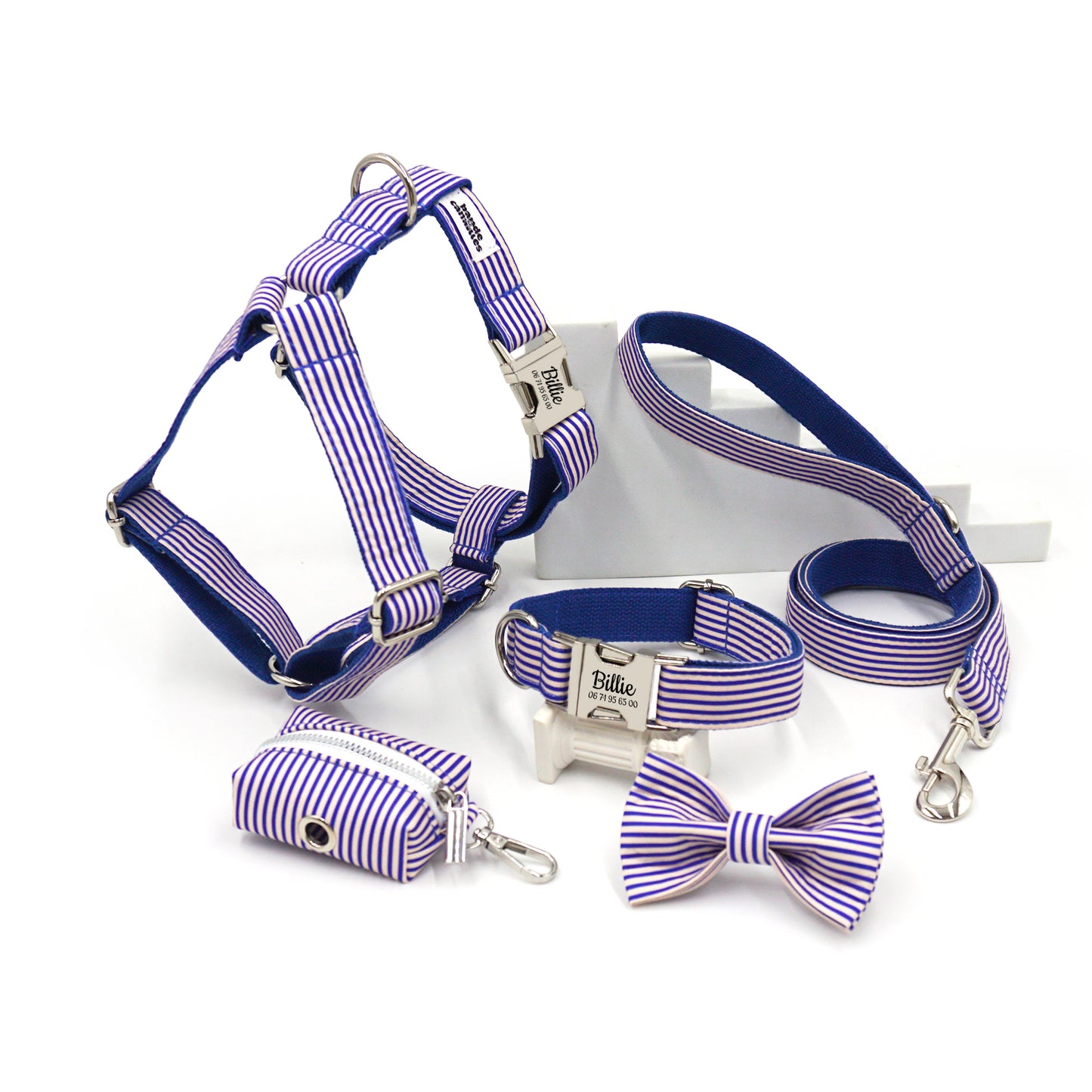 Kit complet pour chien bleu et blanc rayé avec harnais, laisse, collier, nœud papillon et accessoire assortis.