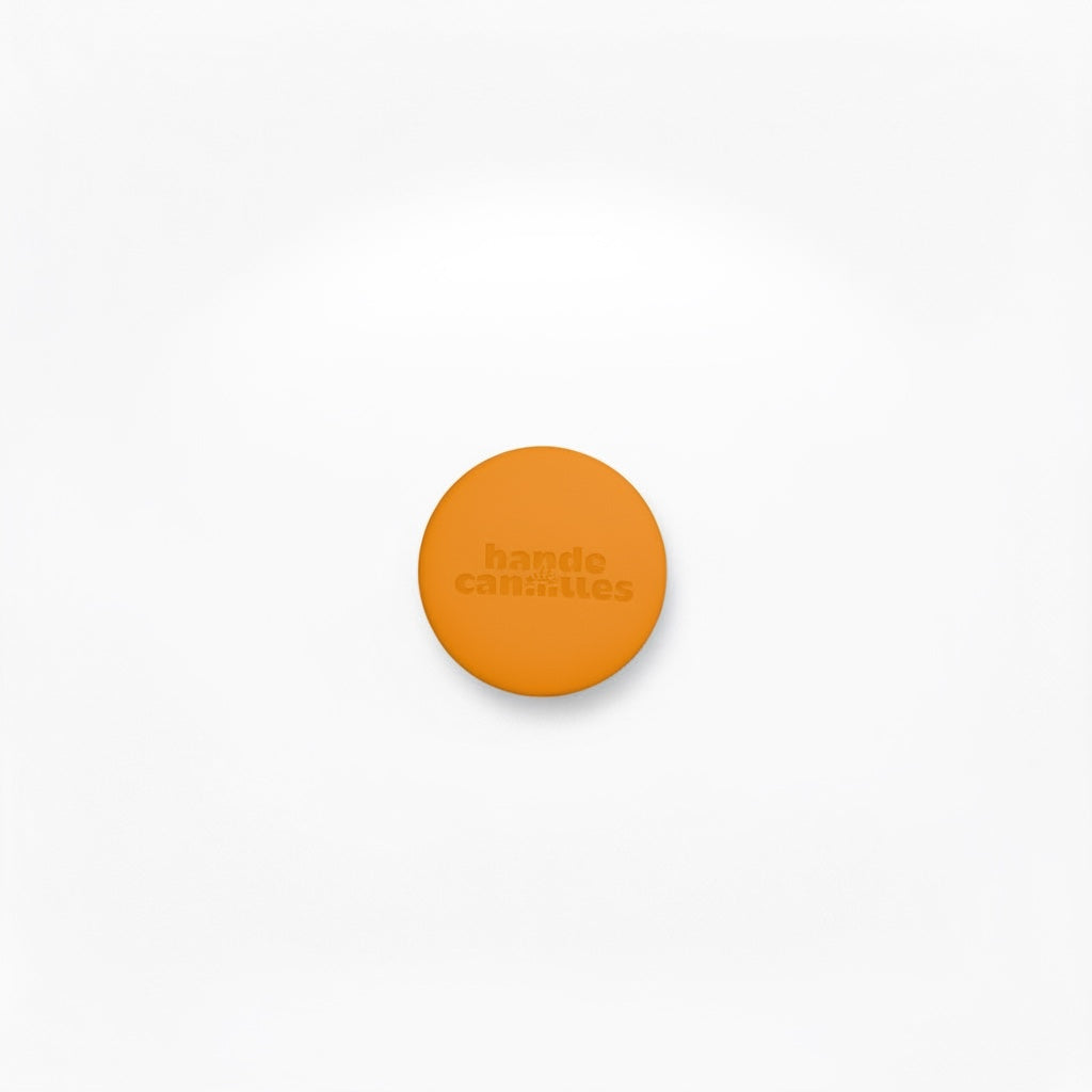 Étui AirTag Silicone pour Collier et Harnais – Coque de Protection Antichoc Jaune