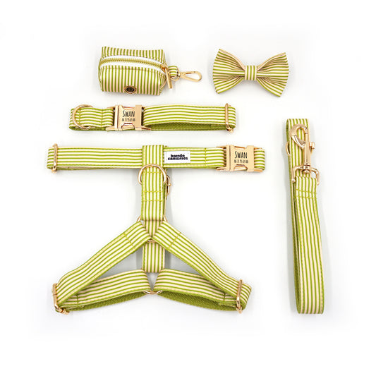 Kit complet de harnais et accessoires pour chien personnalisé, coton rayé vert, avec collier, laisse et nœud assorti.