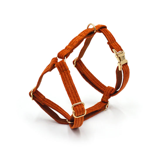 Harnais chat personnalisable en velours côtelé Terre battue, orange, avec boucles dorées et anneaux métalliques.