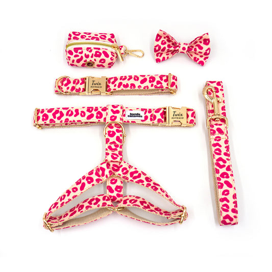 Kit Complet Chien Personnalisé Coton Léopard Rose : harnais, collier, laisse et accessoire rose à motifs léopard sur fond blanc.