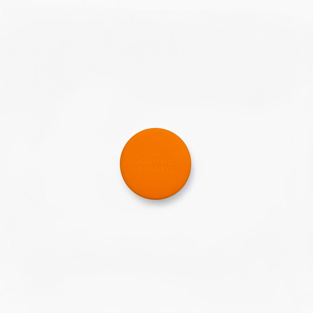 Étui AirTag Silicone pour Collier et Harnais – Coque de Protection Antichoc Orange