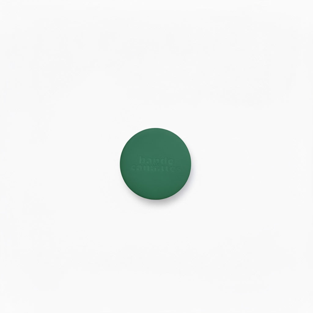 Étui AirTag Silicone pour Collier et Harnais – Coque de Protection Antichoc Vert